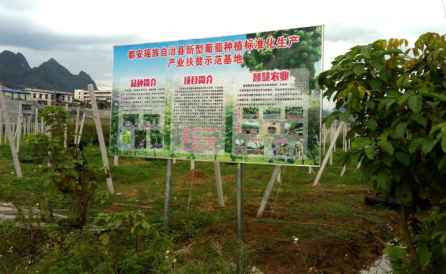 都安產(chǎn)業(yè)扶貧示范基地，智慧農(nóng)業(yè)標(biāo)準(zhǔn)化生產(chǎn)