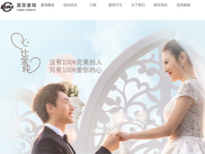 菜百首飾網(wǎng)站建設(shè)