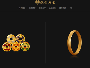 國(guó)金黃金網(wǎng)站建設(shè)