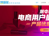 慧算賬網(wǎng)站建設