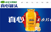 能是水果集團有限公司網(wǎng)站建設