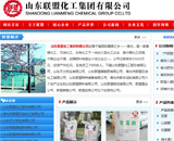 山東聯(lián)盟化工集團(tuán)有限公司網(wǎng)站建設(shè)