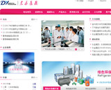 東岳化工網(wǎng)站建設(shè)